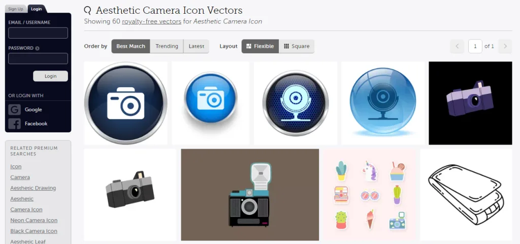 Vector Stock Beauty Camera