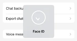Chat Back Up - How to Back Up WhatsApp