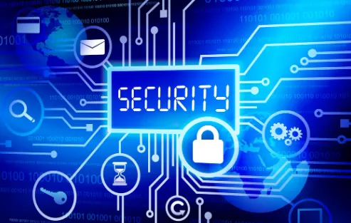 Data security vector